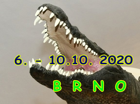 8. – 10. října, 2020 Brno