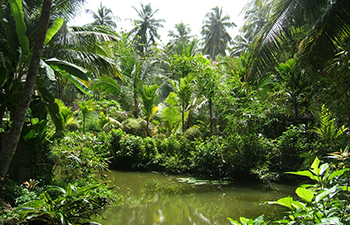 kovalam