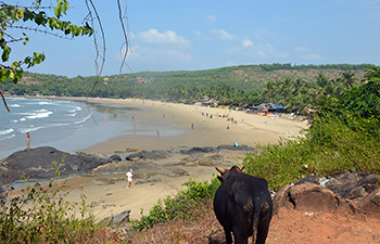 gokarna