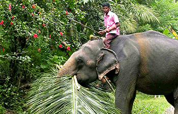 ponmudi