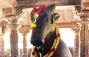 banavasi